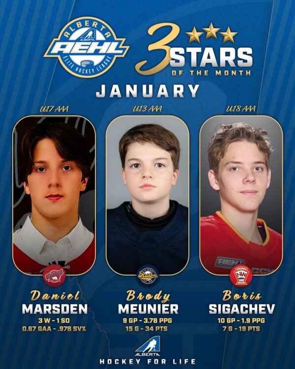 AEHL January Stars of the Month